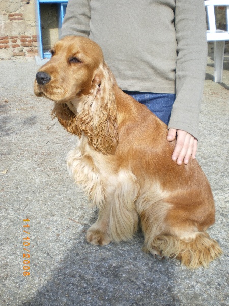 Publication : du cottage de sweet mi lady