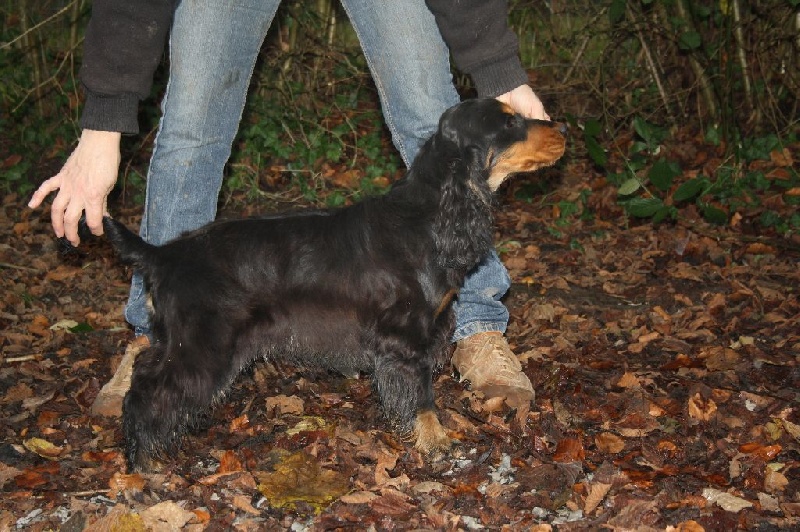 Publication : du cottage de sweet mi lady