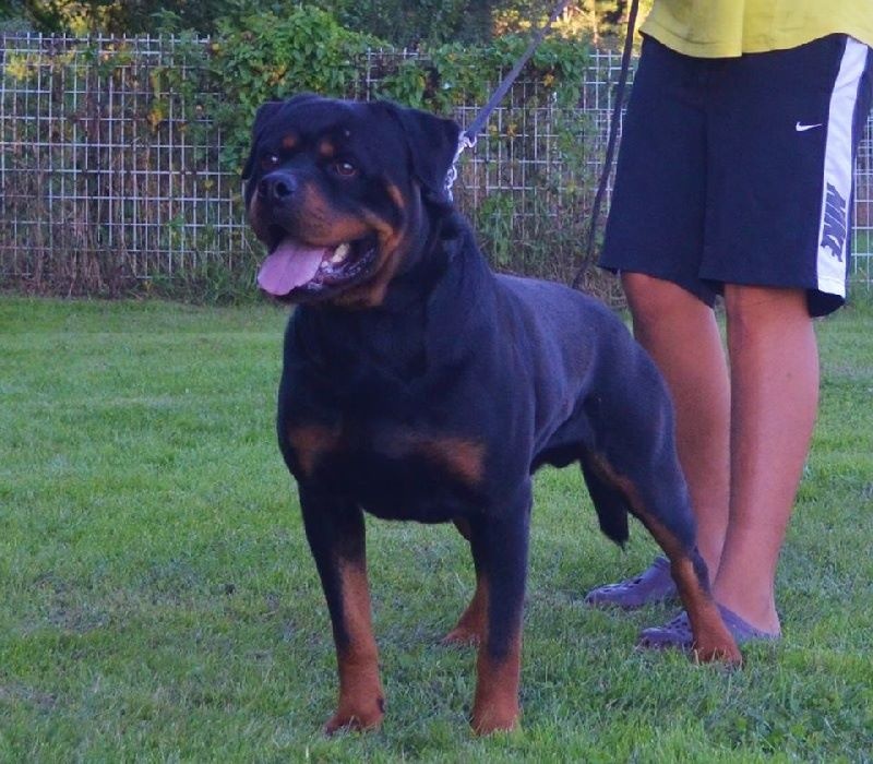 Publication : Du Temple D'Adranos Auteur : Aumar Jacques