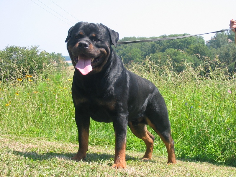 Publication : Du Temple D'Adranos Auteur : Aumar Jacques