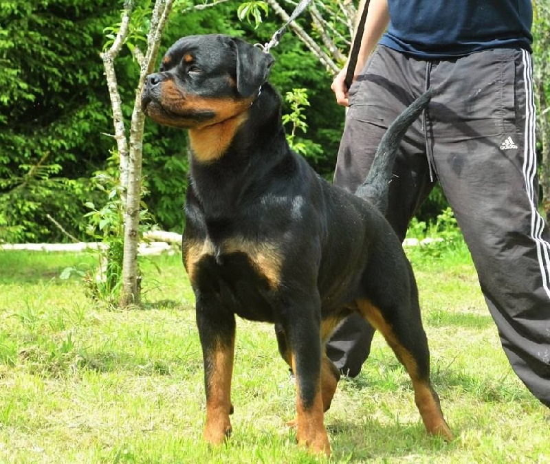 Luna Du Temple D'Adranos