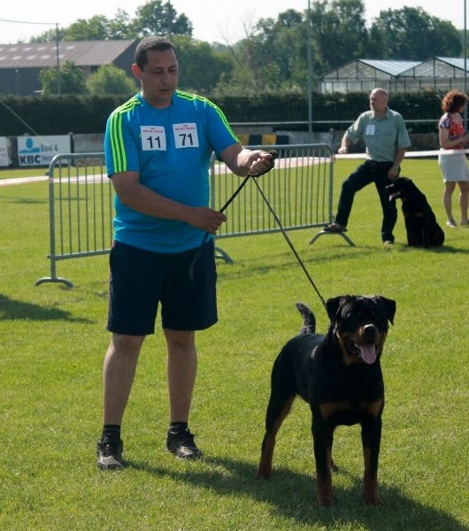 Publication : Du Temple D'Adranos Auteur : Aumar Jacques