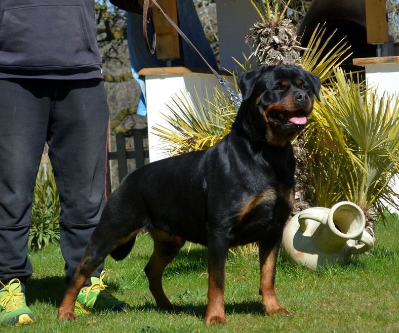 Publication : du Domaine de la Terre de Feu Auteur : jacques aumar