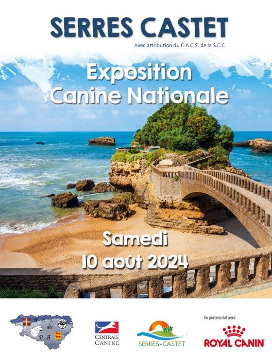 CH. Ronda Du Temple D'Adranos - 2 Excellent