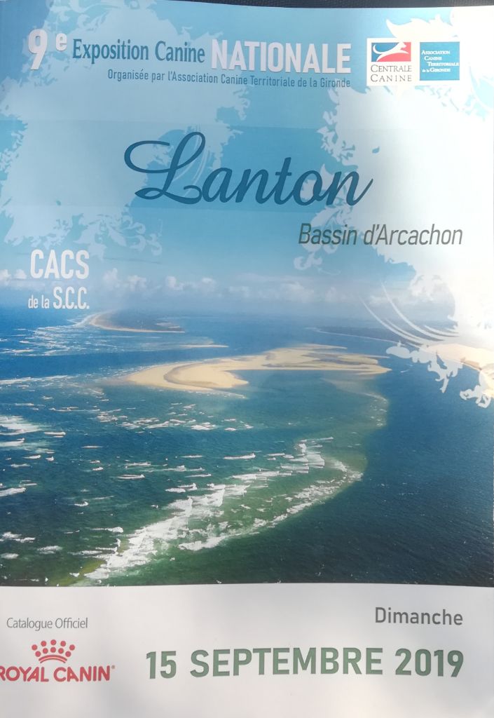 CH. Oana Du Temple D'Adranos - 1 excellent Cacs BOS