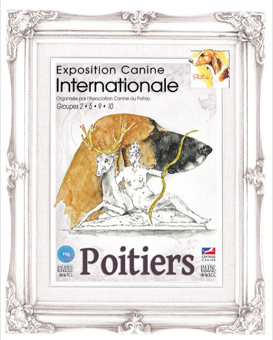 CH. Ronda Du Temple D'Adranos - 2 Excellent Reserve CACIB