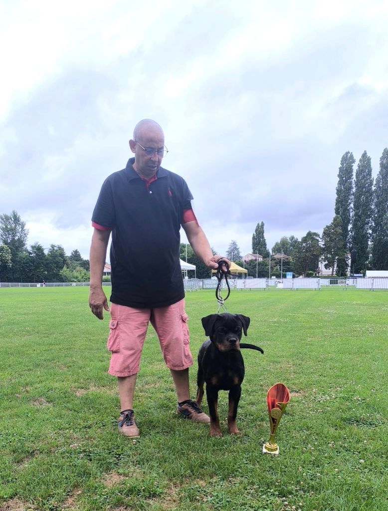 Derro inferno de la noche - 1 TRES PROMETTEUR MEILLEUR BABY