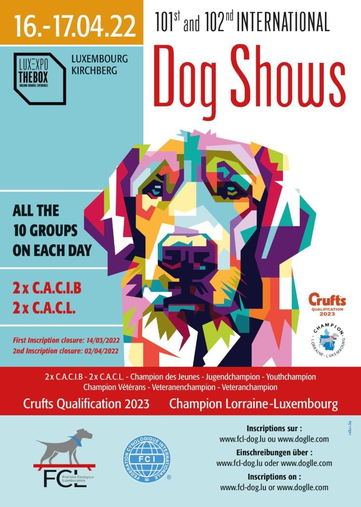 CH. Reno Du Temple D'Adranos - 1 Excellent CACL