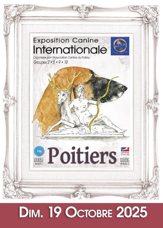 Vanessa Des Gardiens De La Veaussardière - 1 EXCELLENT CACIB JEUNE MEILLEUR JEUNE