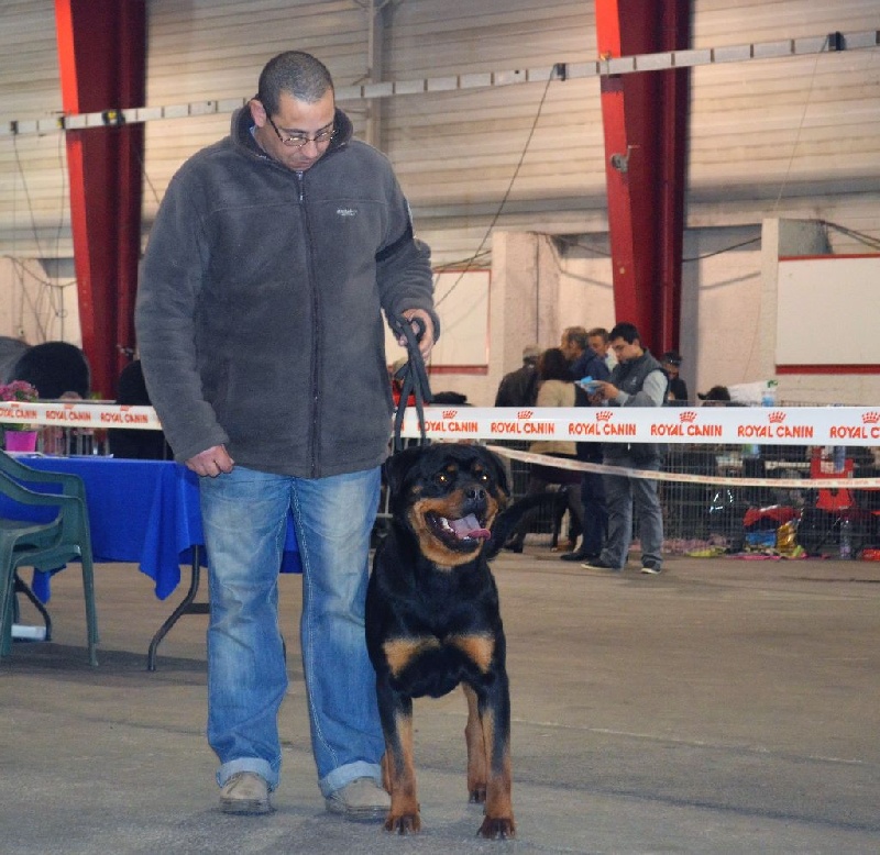 Jojoba Du Temple D'Adranos - 2 Excellent