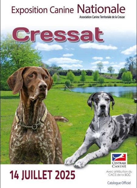 CH. Reno Du Temple D'Adranos - 1 Excellent CACS