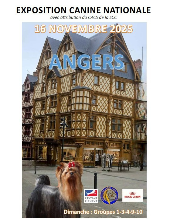 CH. Reno Du Temple D'Adranos - 1 EXCELLENT CACS