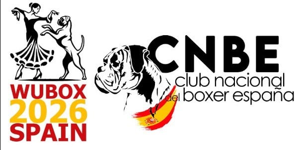 CH. ANDREYBOX GEM - 4 EXCELLENT