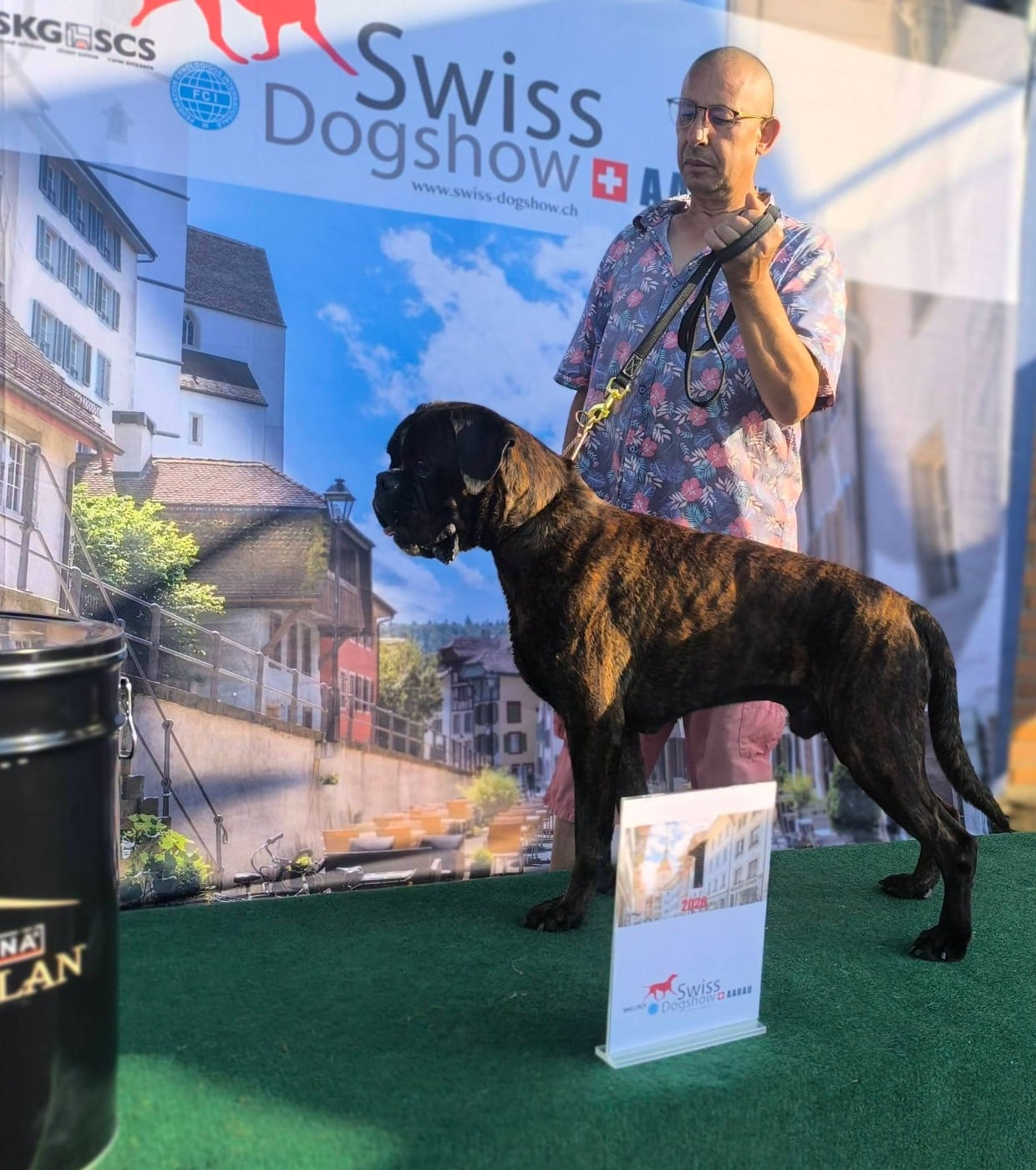 CH. ANDREYBOX GEM - 1 EXCELLENT CAC Reserve CACIB