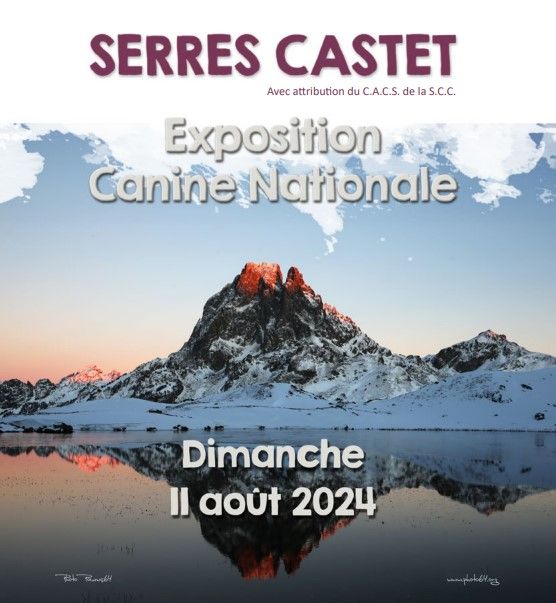 CH. Ronda Du Temple D'Adranos - 1 Excellent