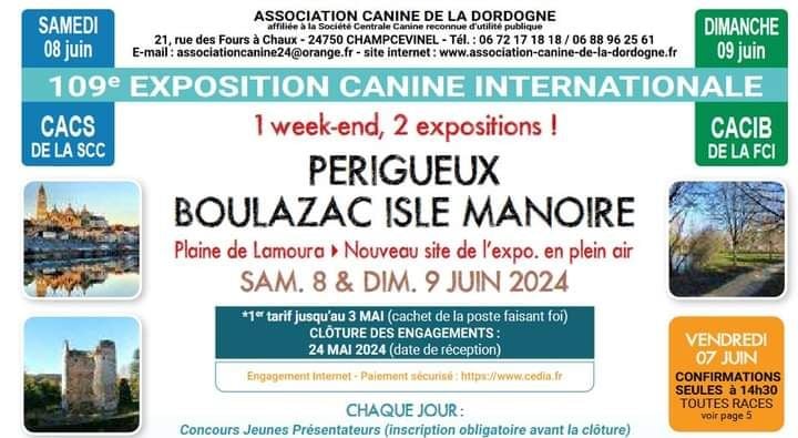 CH. Reno Du Temple D'Adranos - 1 Excellent CAC, RCACIB