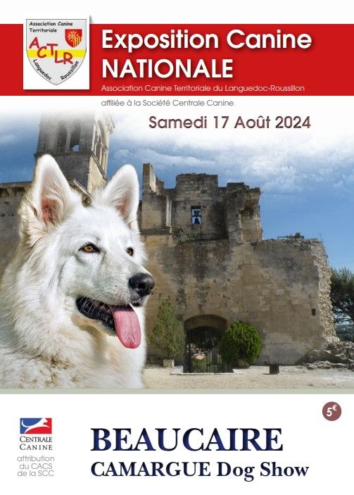 CH. Ronda Du Temple D'Adranos - 2 Excellent