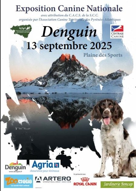 CH. Reno Du Temple D'Adranos - 1 Excellent CACS MEILLEUR TRAVAIL