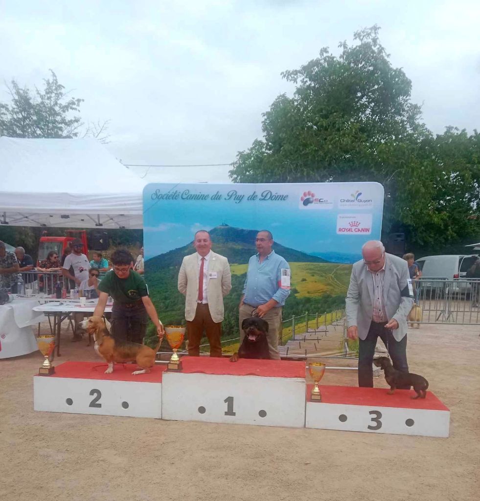 CH. Reno Du Temple D'Adranos - 1 Excellent CACS BEST IN SHOW TRAVAIL