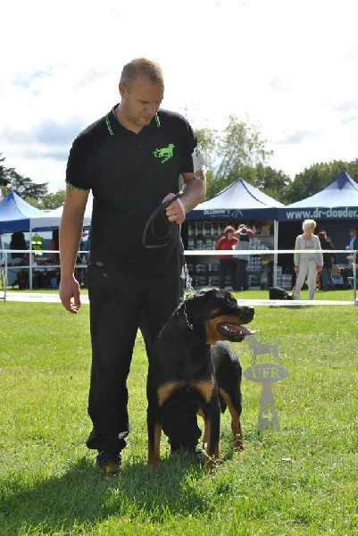 Jojoba Du Temple D'Adranos - 4 Très bon