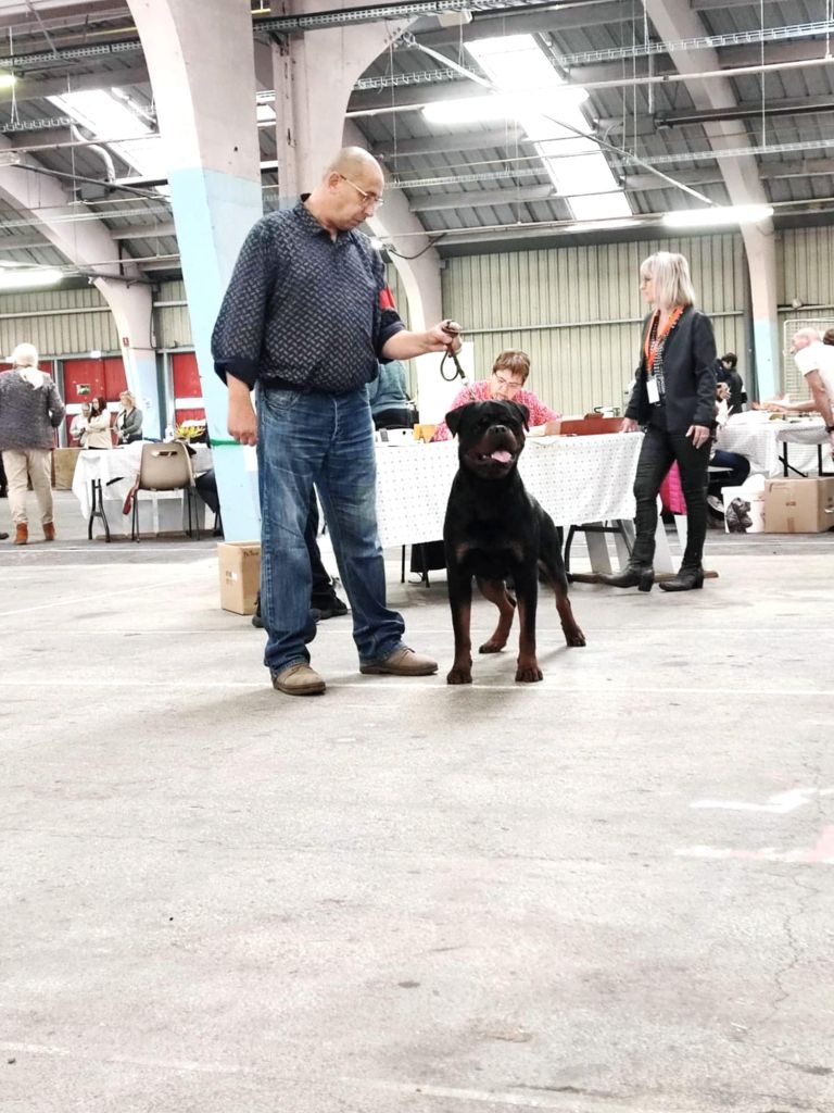 Mango dominant storm - 1 Excellent CACS Jeune et Meilleur Jeune