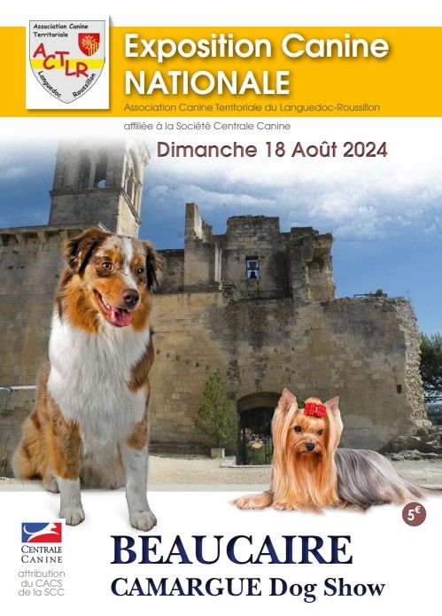 CH. Reno Du Temple D'Adranos - 1 Excellent MEILLEUR DE SEXE OPPOSE MEILLEUR CHAMPION