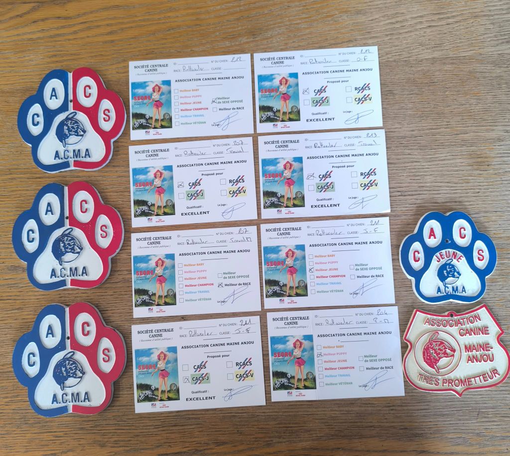 CH. Reno Du Temple D'Adranos - 1 Excellent CACS Meilleur de race