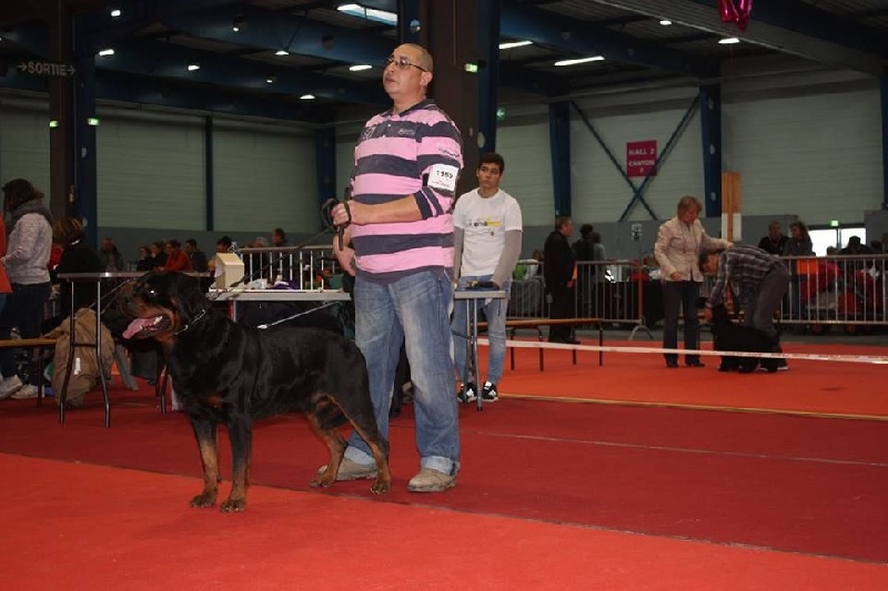 Rick flash rouse - 4 EXCELLENT