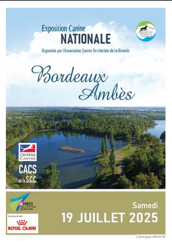 Derro inferno de la noche - 1 TRES PROMETTEUR MEILLEUR BABY