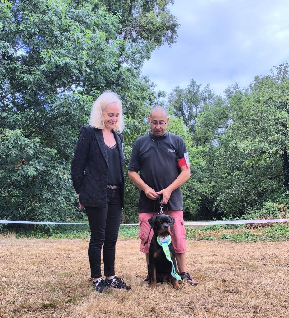 Derro inferno de la noche - 1 TRES PROMETTEUR MEILLEUR BABY