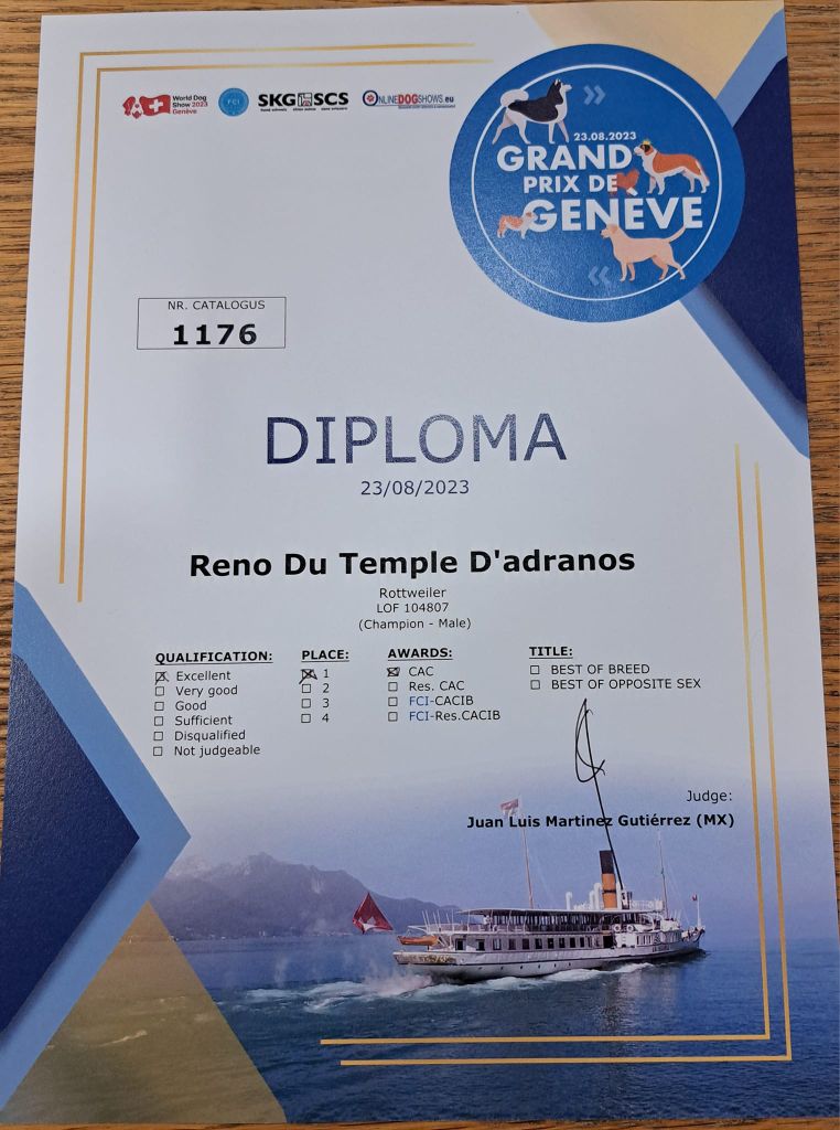 CH. Reno Du Temple D'Adranos - 1 Excellent CAC