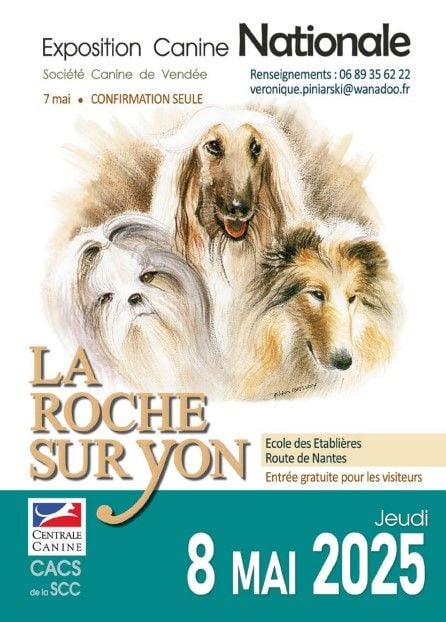 CH. Reno Du Temple D'Adranos - 1 Excellent CACS