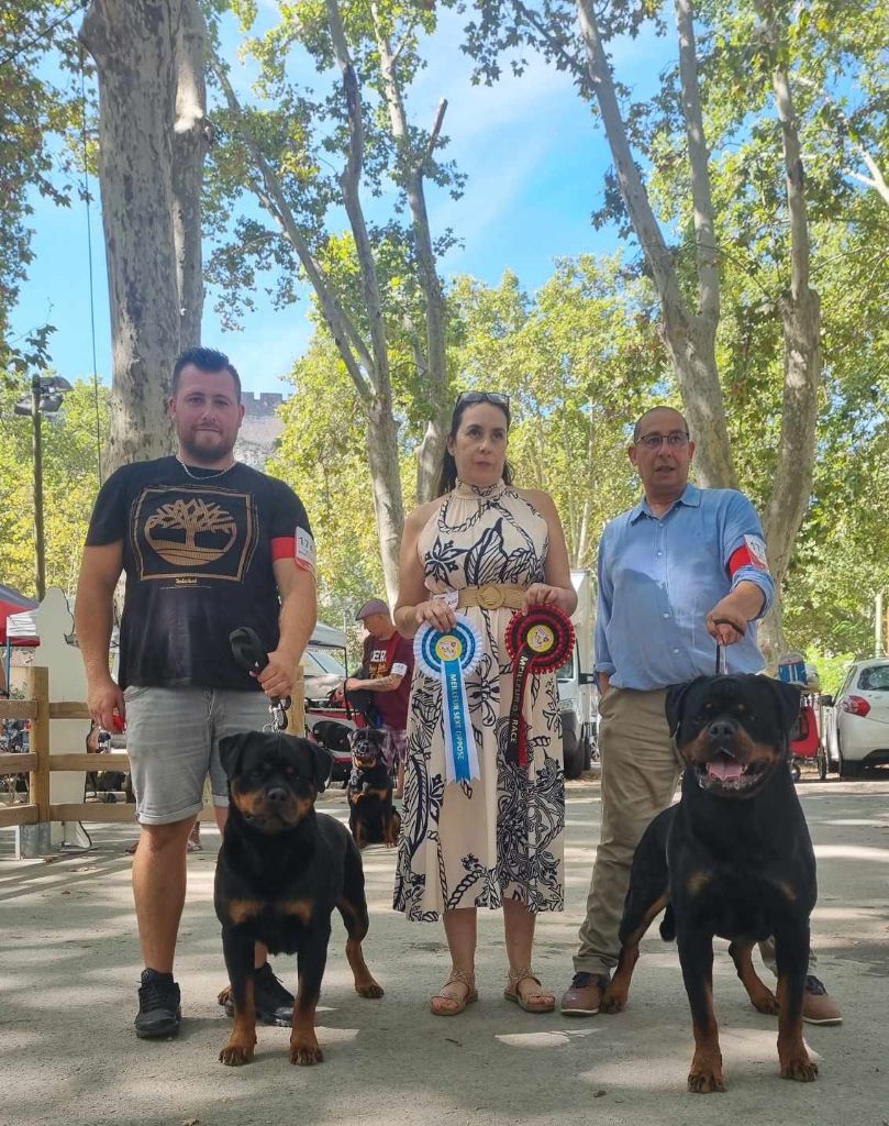 CH. Ronda Du Temple D'Adranos - 1 Excellent