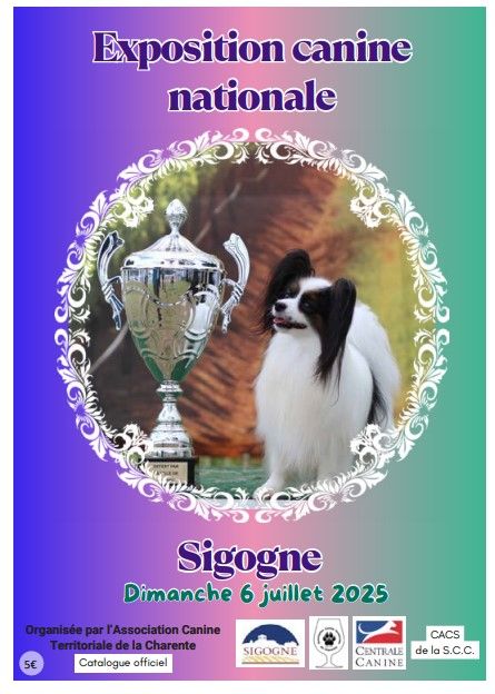 CH. Ronda Du Temple D'Adranos - 1 Excellent