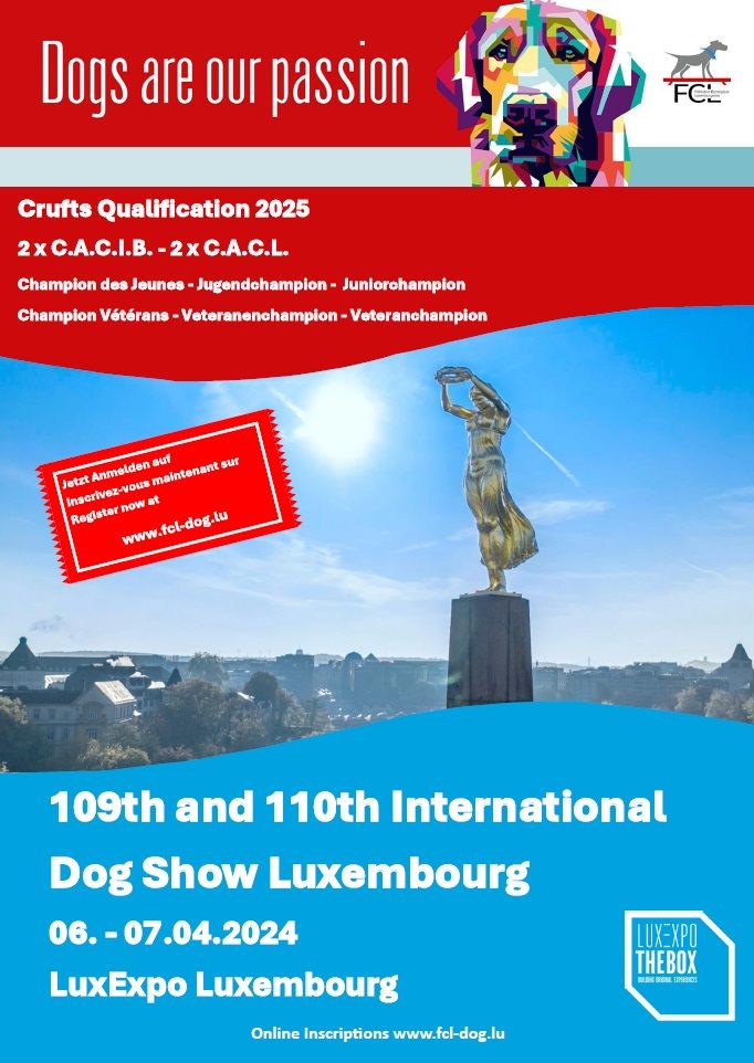 CH. Reno Du Temple D'Adranos - 1 Excellent CACL CACIB BOB