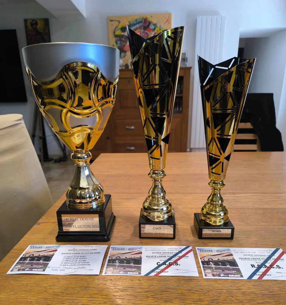 CH. Ronda Du Temple D'Adranos - 2 Excellent