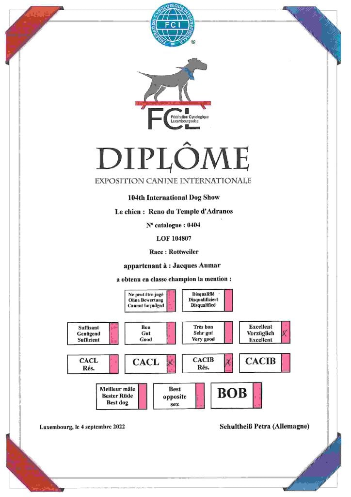 CH. Reno Du Temple D'Adranos - 1 Excellent CACL Reserve CACIB