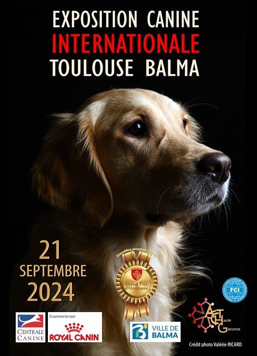 CH. Ronda Du Temple D'Adranos - 1 Excellent RCACIB