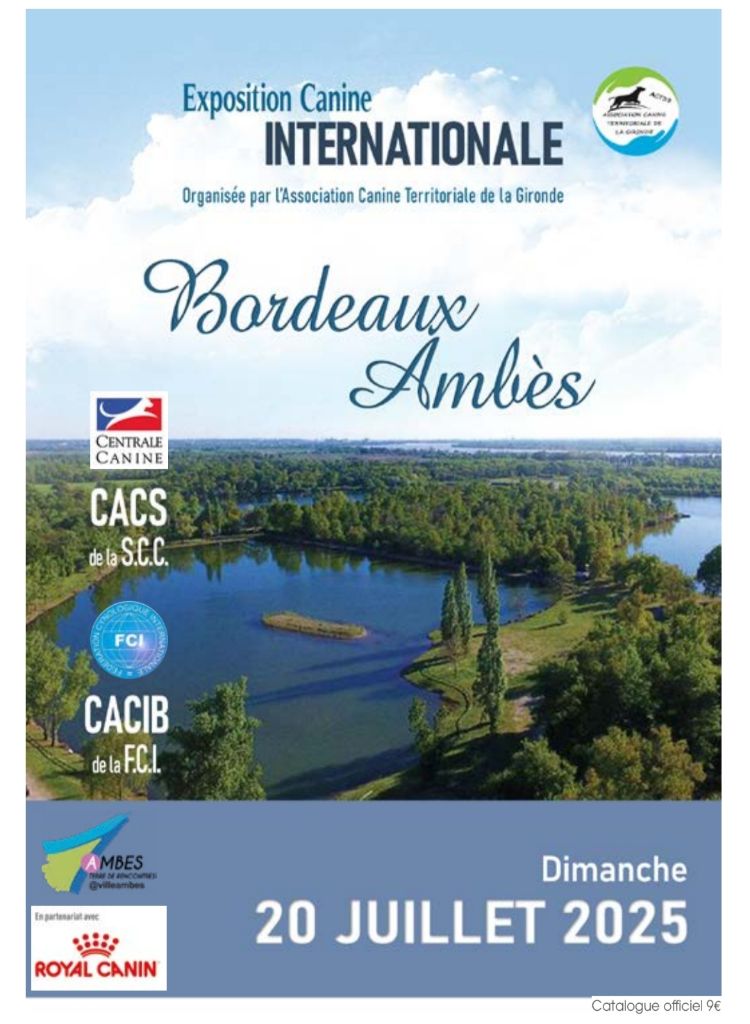 CH. Reno Du Temple D'Adranos - 1 Excellent CACS