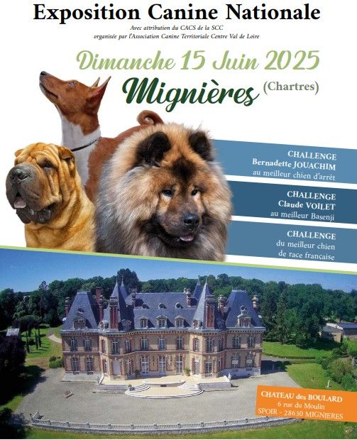 CH. Reno Du Temple D'Adranos - 1 Excellent CACS