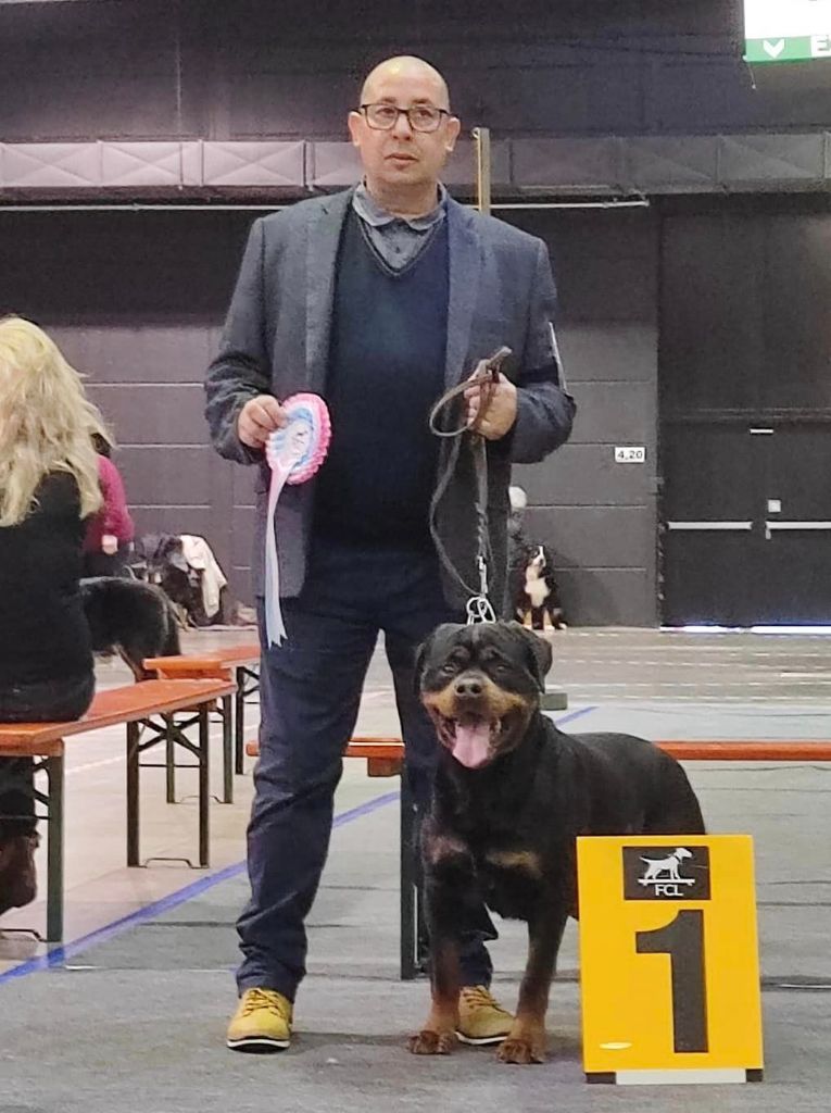 CH. Oana Du Temple D'Adranos - 1 Excellent CACL CACIB