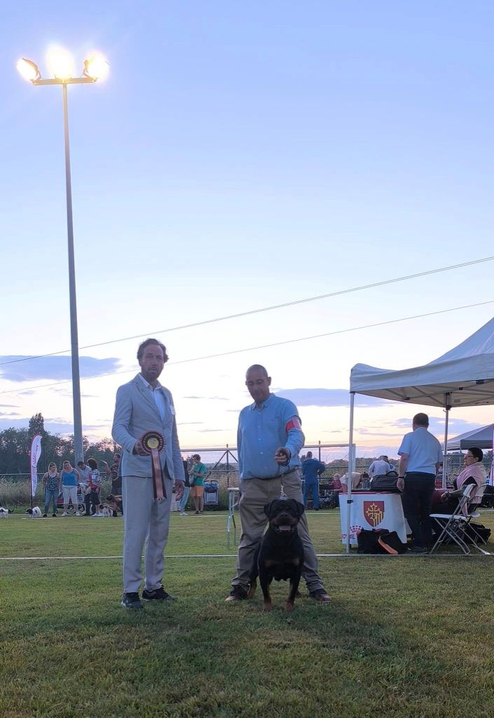 CH. Ronda Du Temple D'Adranos - 1 Excellent MEILLEUR CHAMPION