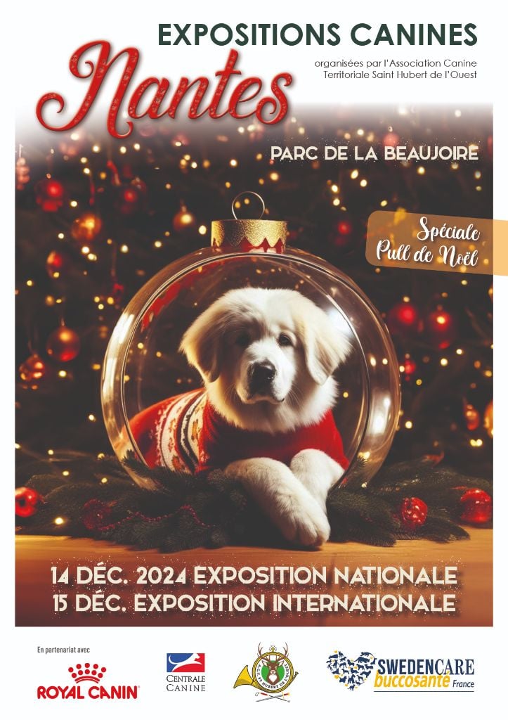 CH. Reno Du Temple D'Adranos - 1 Excellent CACIB, Meilleur de RACE