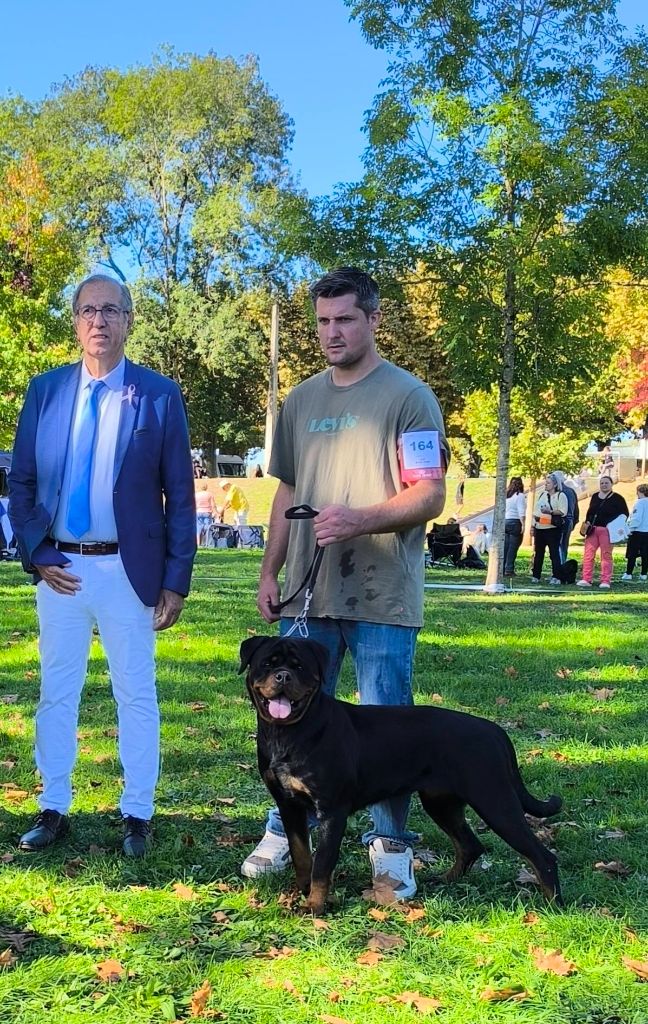 Vanessa Des Gardiens De La Veaussardière - 1 EXCELLENT CACS JEUNE MEILLEUR DE SEXE OPPOSE