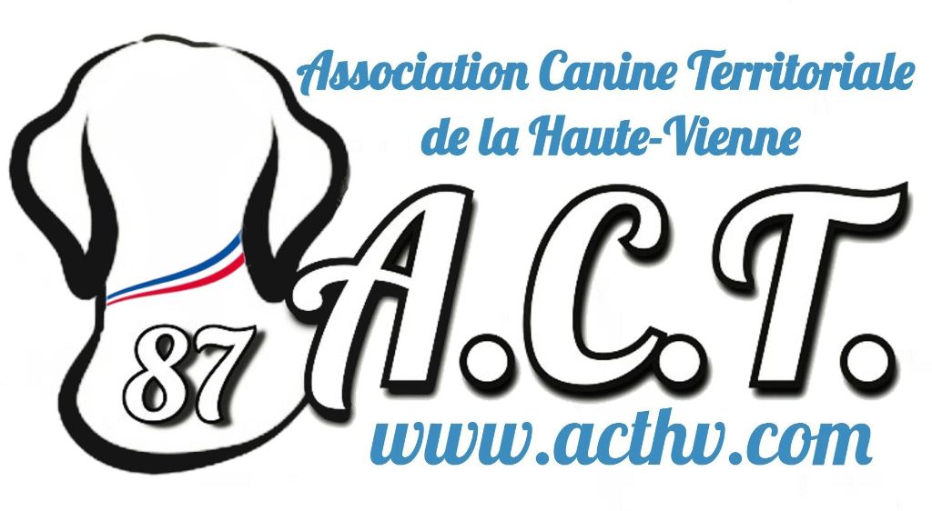 CH. Reno Du Temple D'Adranos - 1 Excellent RCACS