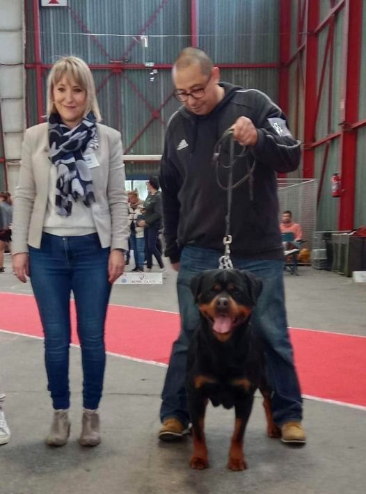 CH. Oana Du Temple D'Adranos - 1 Excellent CACIB BOS