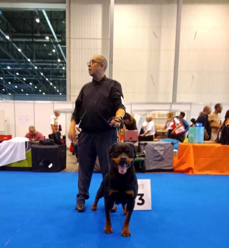 CH. Oana Du Temple D'Adranos - 3 Excellent