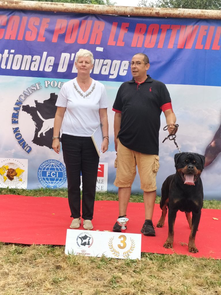 CH. Reno Du Temple D'Adranos - 3 Excellent