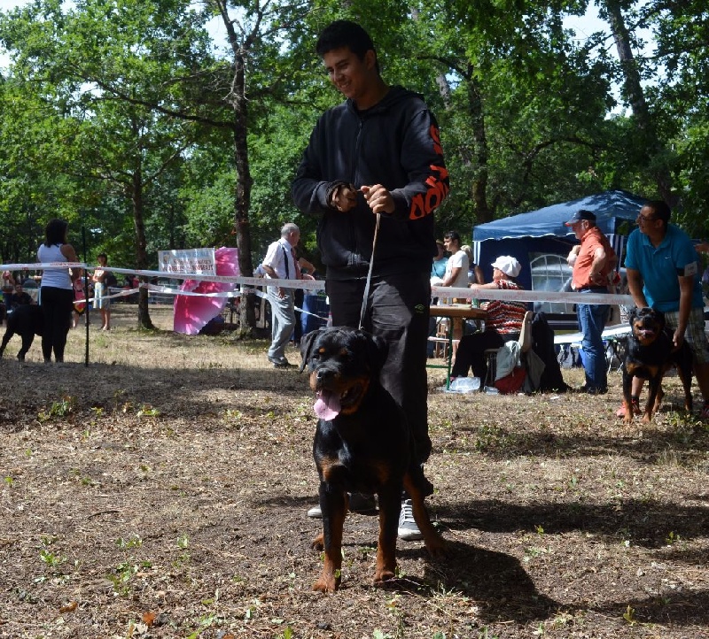 Luna Du Temple D'Adranos - 3iem Très Prometteur