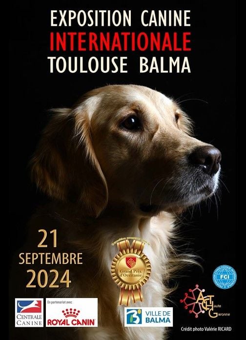 CH. Reno Du Temple D'Adranos - 1 Excellent MEILLEUR DE RACE ET MEILLEUR CHIEN DU GROUPE 2